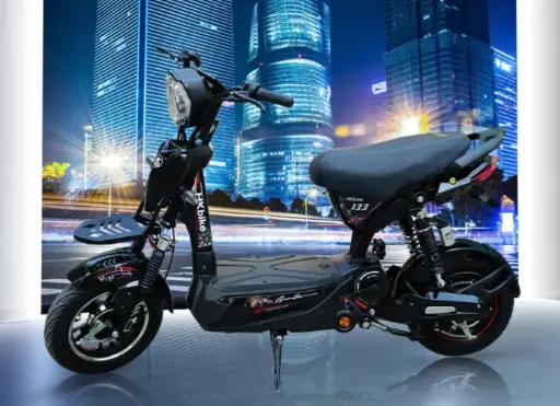 Xe đạp điện PEGA-Hkbike M133 bình to